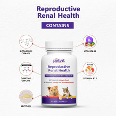 Petvit Reproductive Renal Health Tablet | for Bladder & Renal Health in Dogs and Cats | Improves Urinary Tract Health | All Ages Breed Dogs & Cats – 30 Tablets