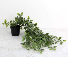 Heart HomeArtificial Vine Plants with Pot|Natural Look & Plastic Material|Easy Home Décor with Small Size Pot|Size 27 x 75 x 7 CM, Pack of 3 (Green)-HEARTXY011607