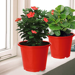 Kuber Industries Durable Plastic Flower Pot|Gamla with Drain Holes for Indoor Home Decor & Outdoor Balcony,Garden,6"x5",Pack of 3 (Red)