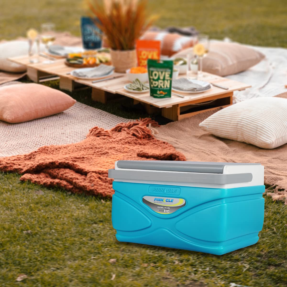 Ice Box Decathlon Cool Bag Ice Box Decathlon Online