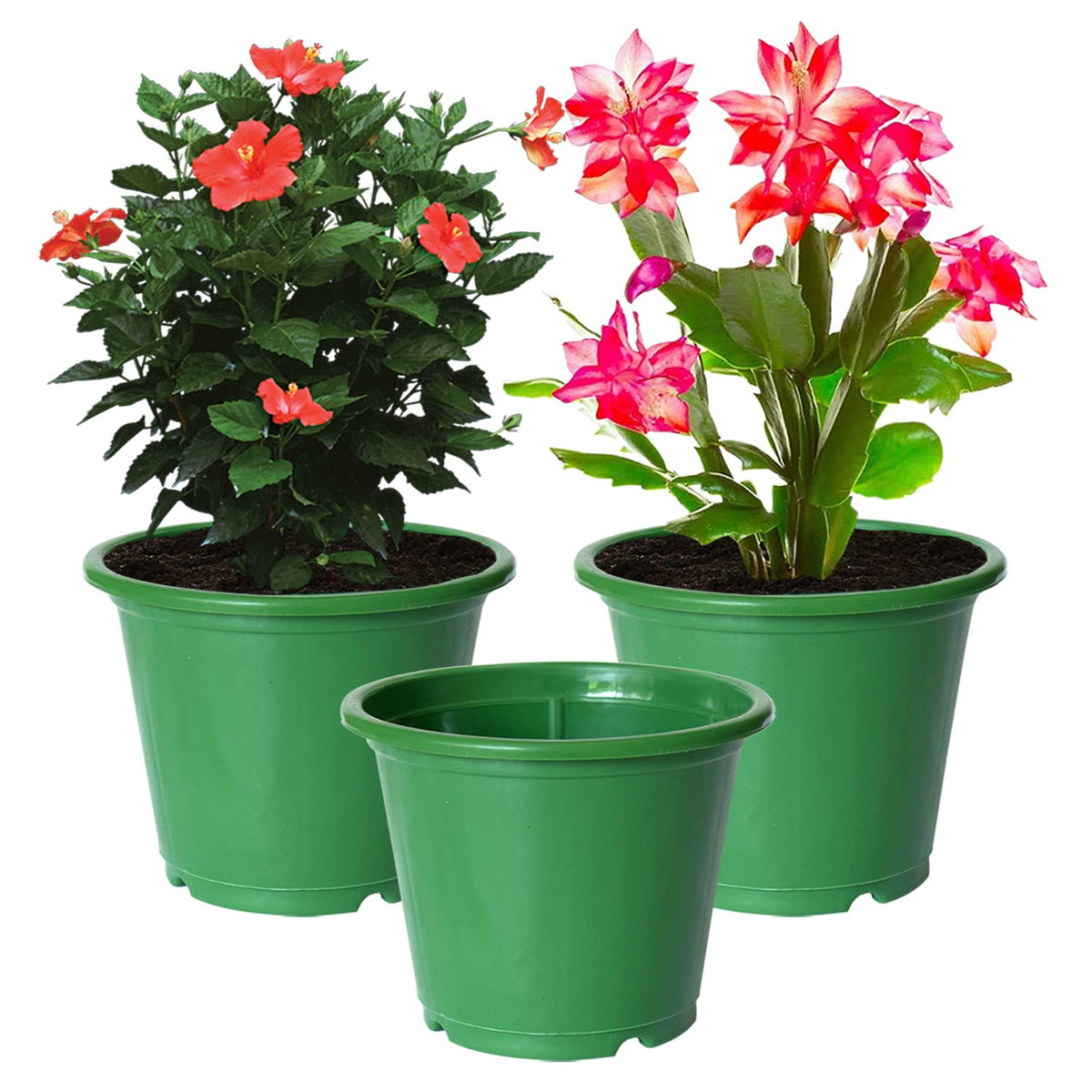 Kuber Industries Plastic Planters|Gamla|Flower Pots for Garden Nursery Home Décor,8"x6",Pack of 3 (Green)