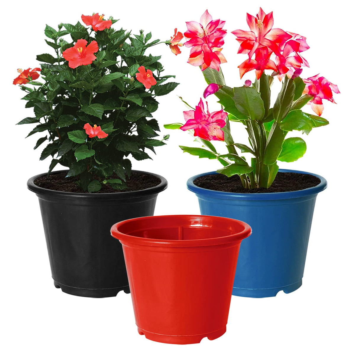 Kuber Industries Plastic Planters|Gamla|Flower Pots for Garden Nursery Home Décor,8"x6",Pack of 3 (Black,Blue,Red)