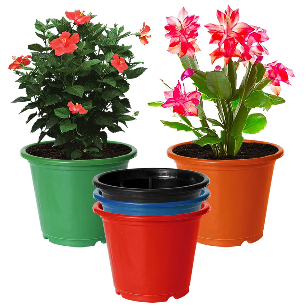 Kuber Industries Plastic Planters|Gamla|Flower Pots for Garden Nursery Home Décor,8"x6",Pack of 5 (Multicolor)