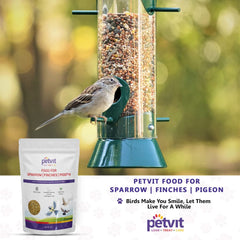 Petvit Nutritional Food for Sparrow, Finches, Pigeons, and Wild Birds | Yellow Proso, Pearl Millet, Wheat, Foxtail Millet, Oats, Green Proso | Bird Food- 1kg
