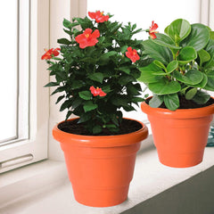 Kuber Industries Solid 2 Layered Plastic Flower Pot|Gamla for Home Decor,Nursery,Balcony,Garden,8"x 6",Pack of 8 (Orange)