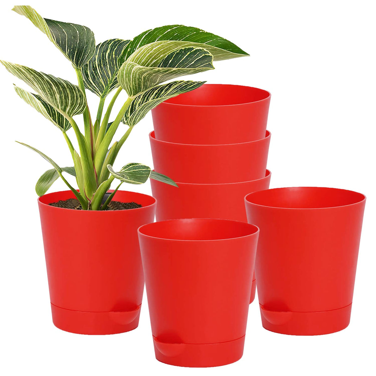 Kuber Industries Plastic Titan Pot|Garden Container for Plants & Flowers|Self-Watering Pot with Drainage Holes,6 Inch,Pack of 6 (Red)
