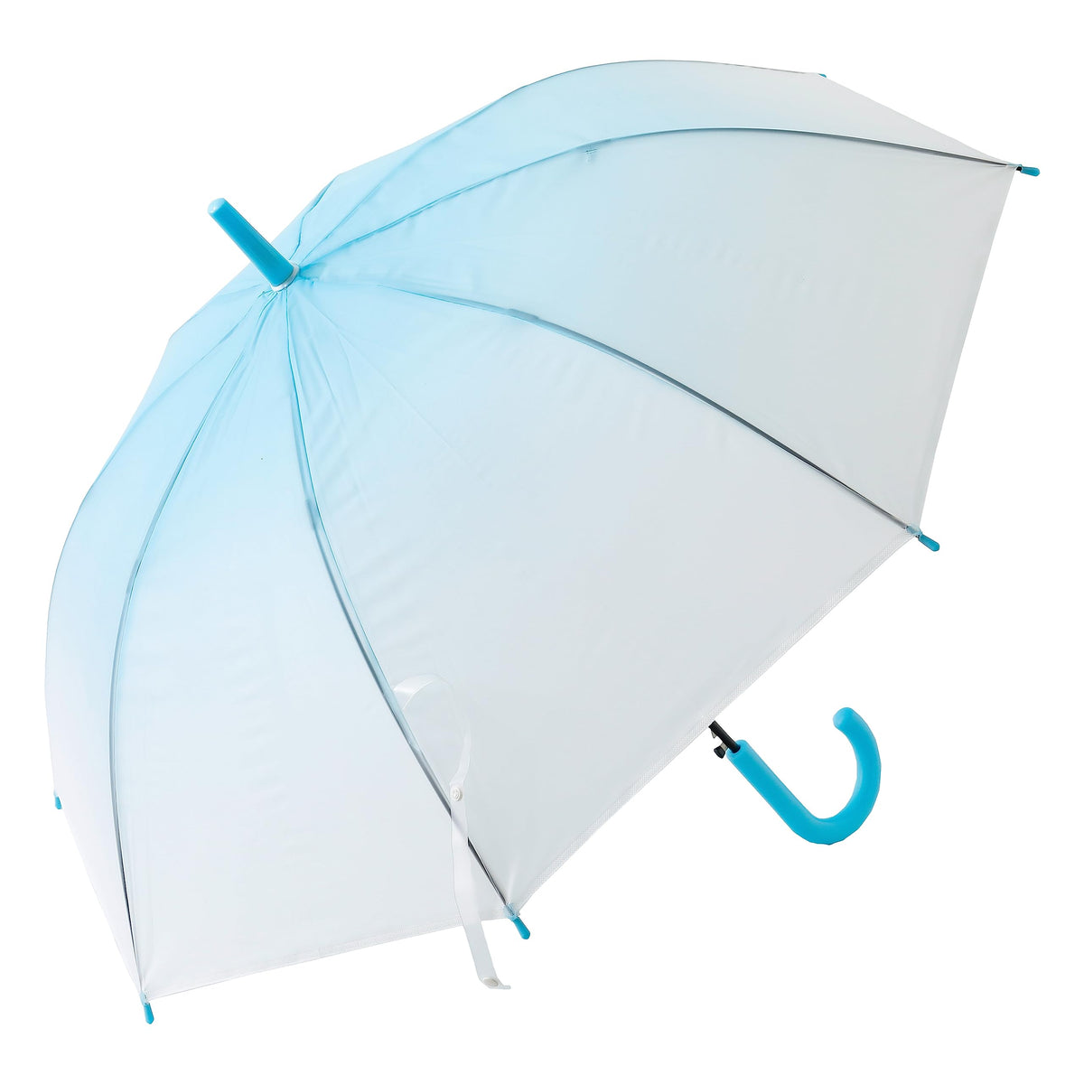 Homestic Transparent Umbrella For Men & Women|Automatic Umbrella For Rain (Blue)