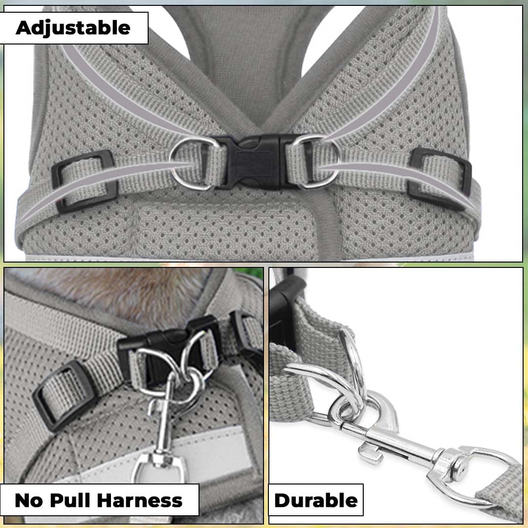 Kuber Industries Dog Chest Harness with Nylon Leash I No Pull, Soft Padded and Breathable Dog Vest I Adjustable, Reflective I Easy Control Dog Chest Belt I (XS, Grey)
