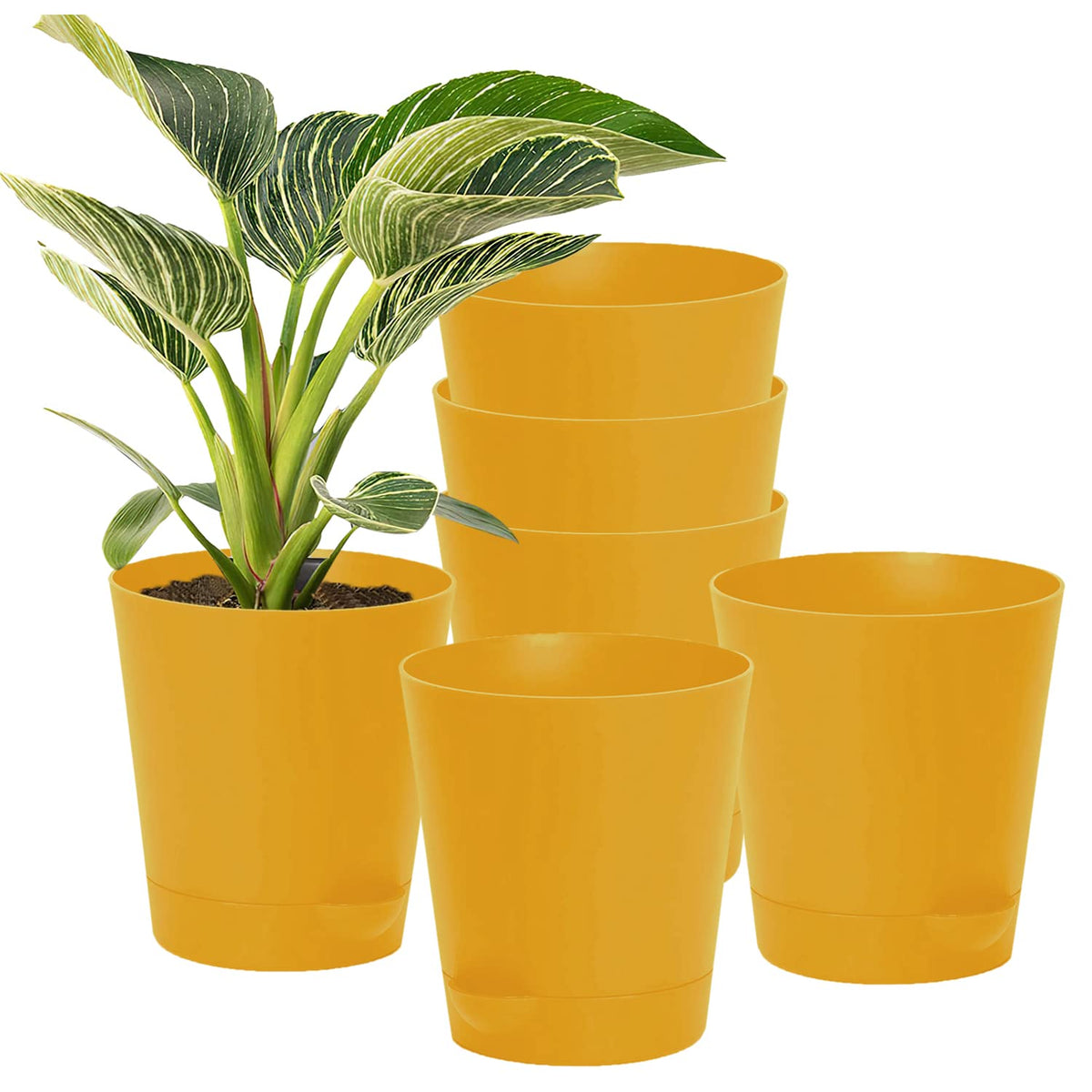 Kuber Industries Plastic Titan Pot|Garden Container for Plants & Flowers|Self-Watering Pot with Drainage Holes,6 Inch,Pack of 6 (Yellow)