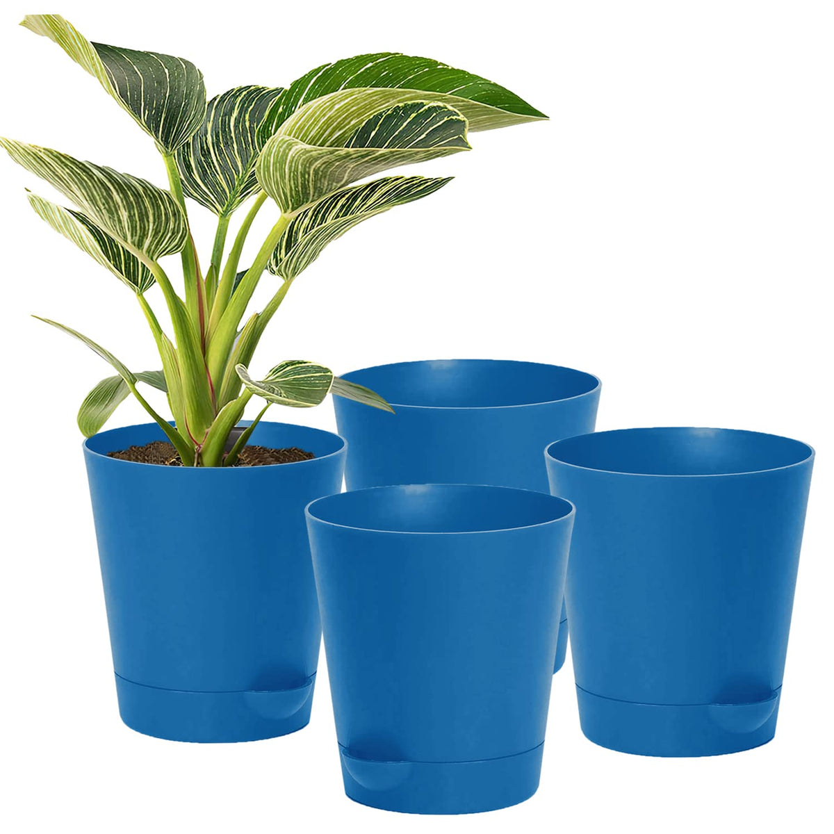 Kuber Industries Plastic Titan Pot|Garden Container for Plants & Flowers|Self-Watering Pot with Drainage Holes,6 Inch,Pack of 4 (Blue)