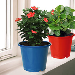 Kuber Industries Plastic Planters|Gamla|Flower Pots for Garden Nursery Home Décor,8"x6",Pack of 10 (Multicolor)