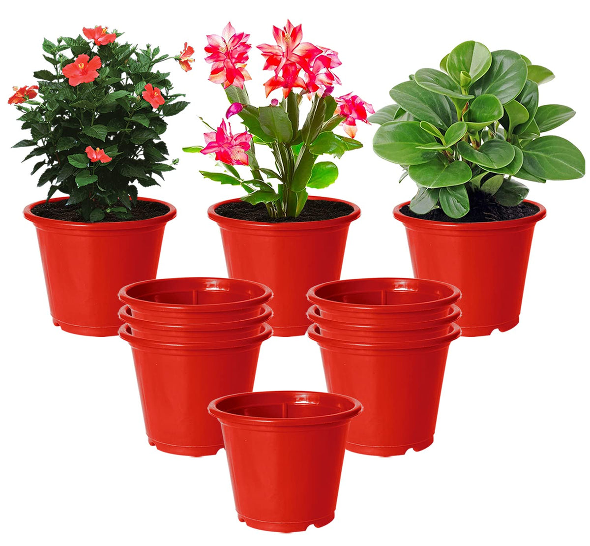 Kuber Industries Plastic Planters|Gamla|Flower Pots for Garden Nursery Home Décor,8"x6",Pack of 10 (Red)