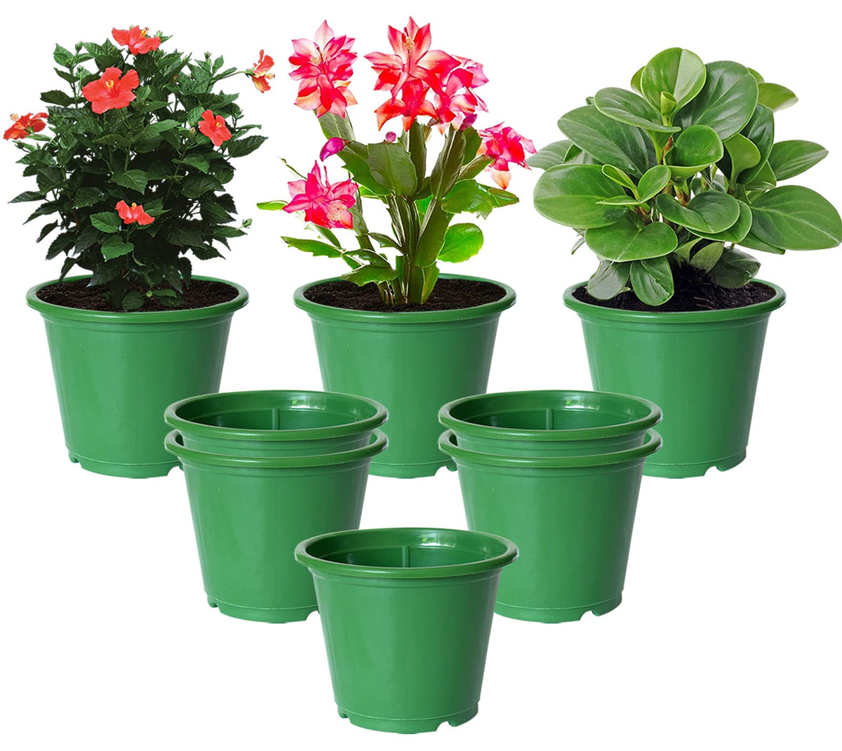 Kuber Industries Plastic Planters|Gamla|Flower Pots for Garden Nursery Home Décor,8"x6",Pack of 8 (Green)