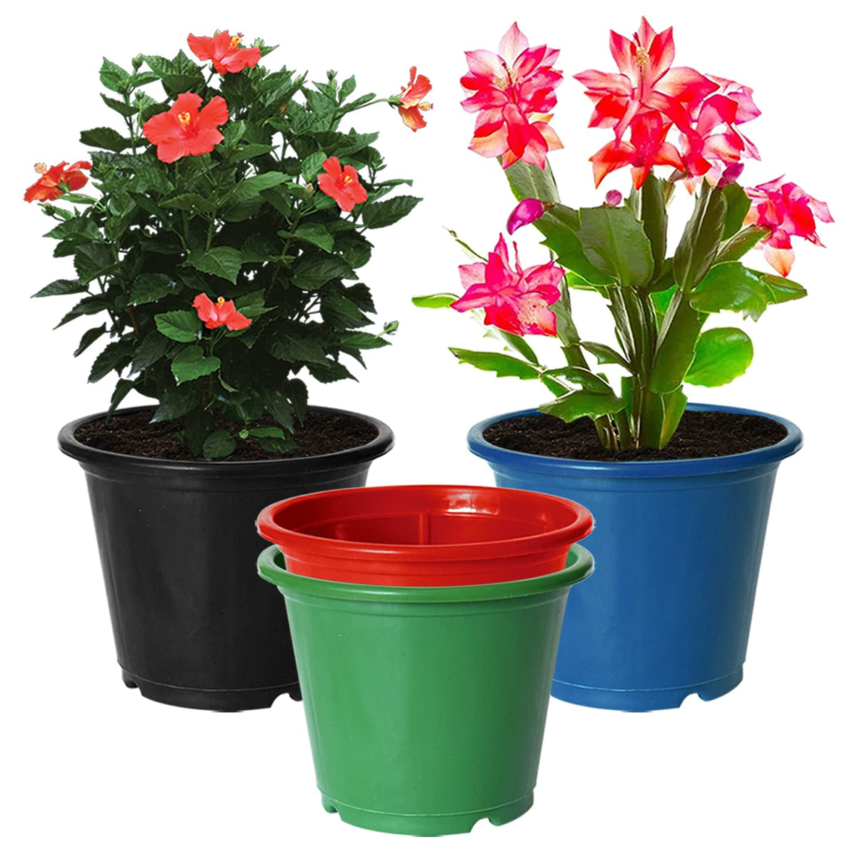 Kuber Industries Plastic Planters|Gamla|Flower Pots for Garden Nursery Home D cor,8"x6",Pack of 4 (Multicolor)