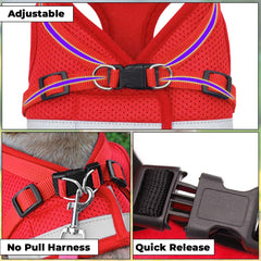Kuber Industries Dog Chest Harness with Nylon Leash I No Pull, Soft Padded and Breathable Dog Vest I Adjustable, Reflective I Easy Control Dog Chest Belt I (XS, Red)