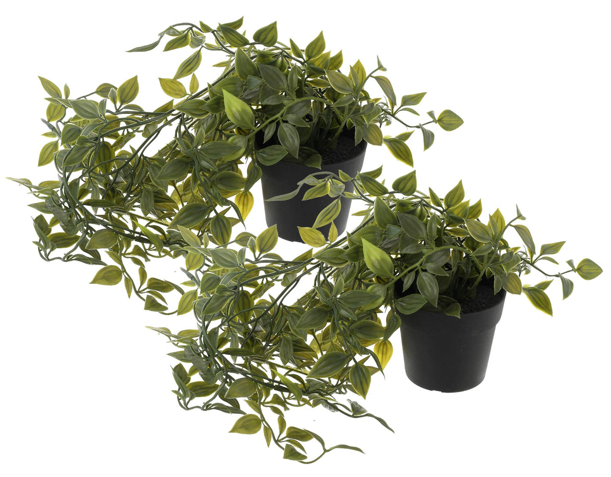 Kuber Industries Mini Plastic Potted Artificial Green Vine Plant with Black Plastic Pots KUBMART11604 - Set of 2
