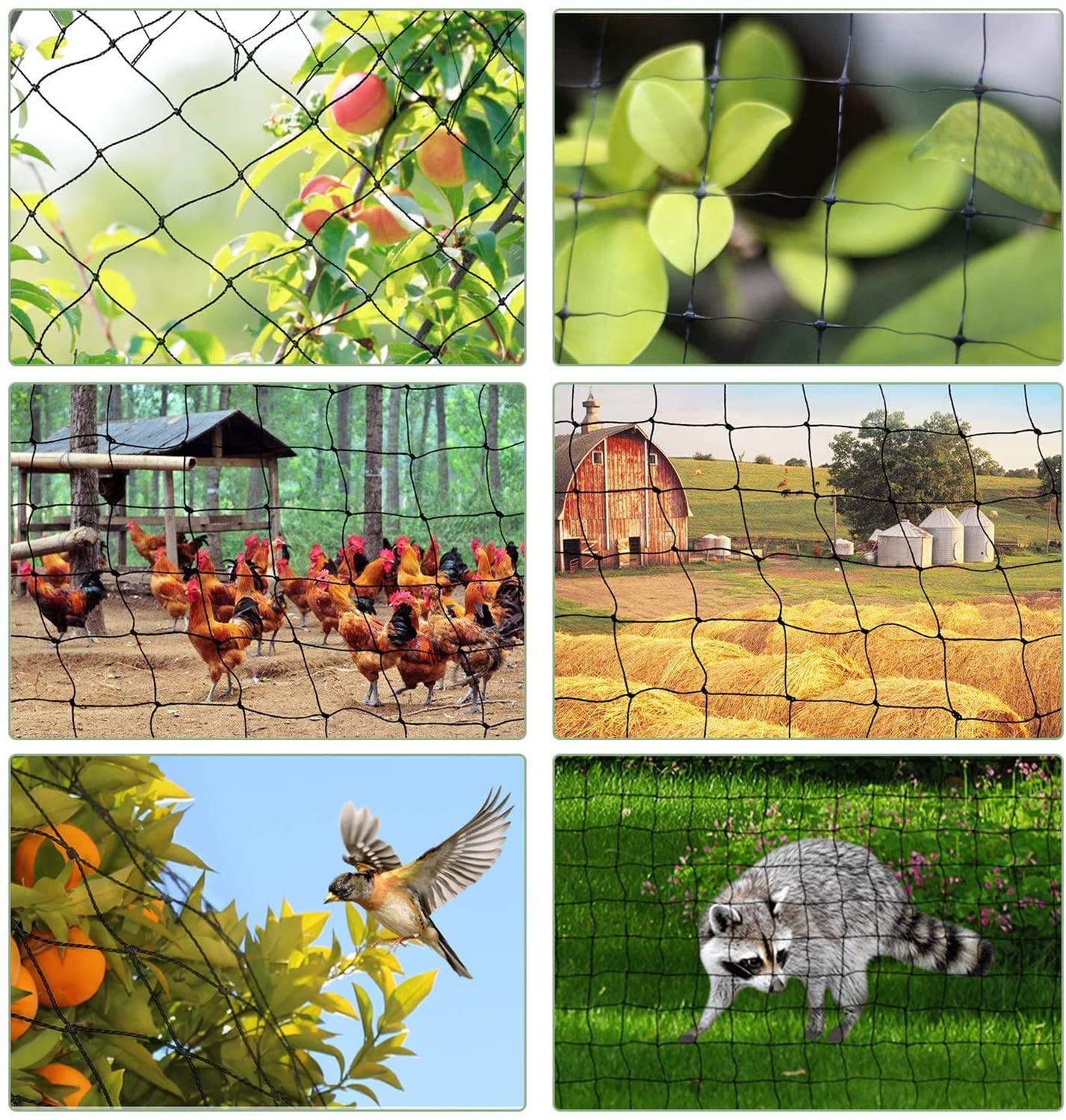 Kuber Industries Anti Bird Net For Balcony|Pigeon Net For Garden, Patio|WHITE